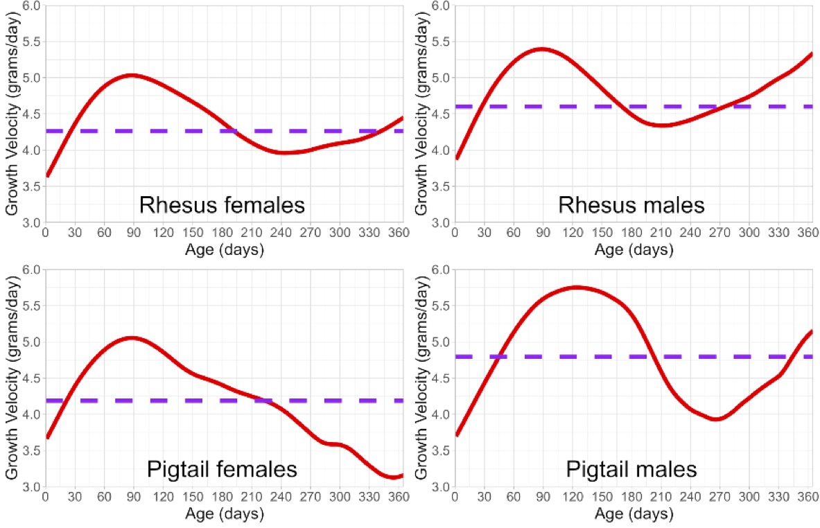 Mean growth velocities of infant macaques