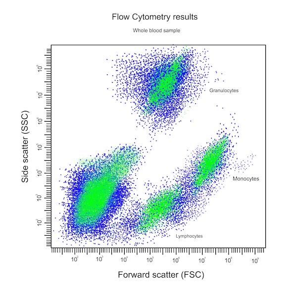 flow cytometry