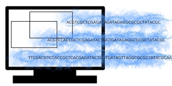 bioinformatics and biostatistics