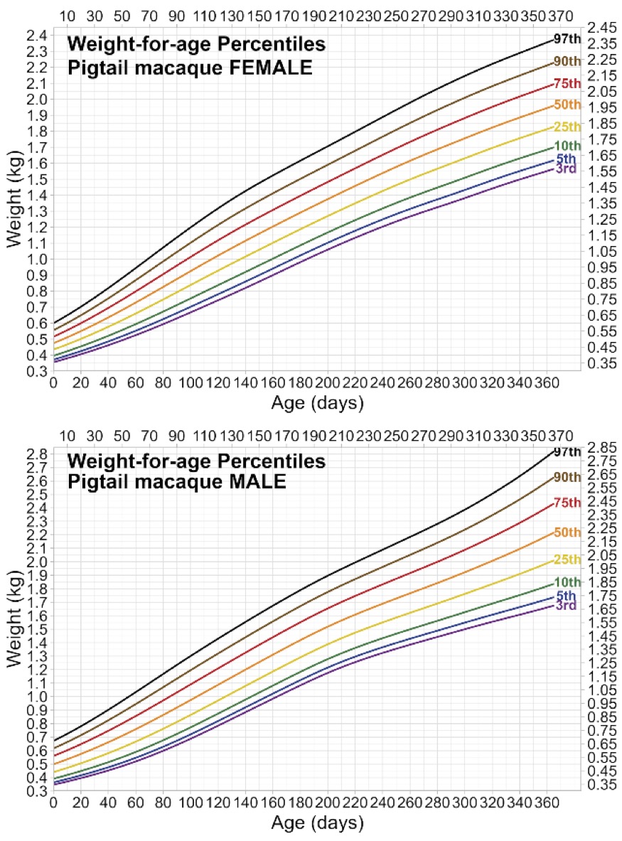 Weight-for-age percentile charts to track infant pigtail macaque growth