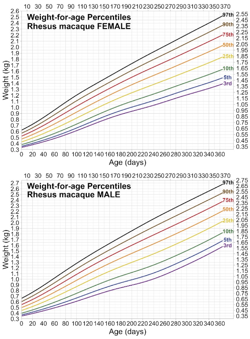 Weight-for-age percentile charts to track infant rhesus macaque growth